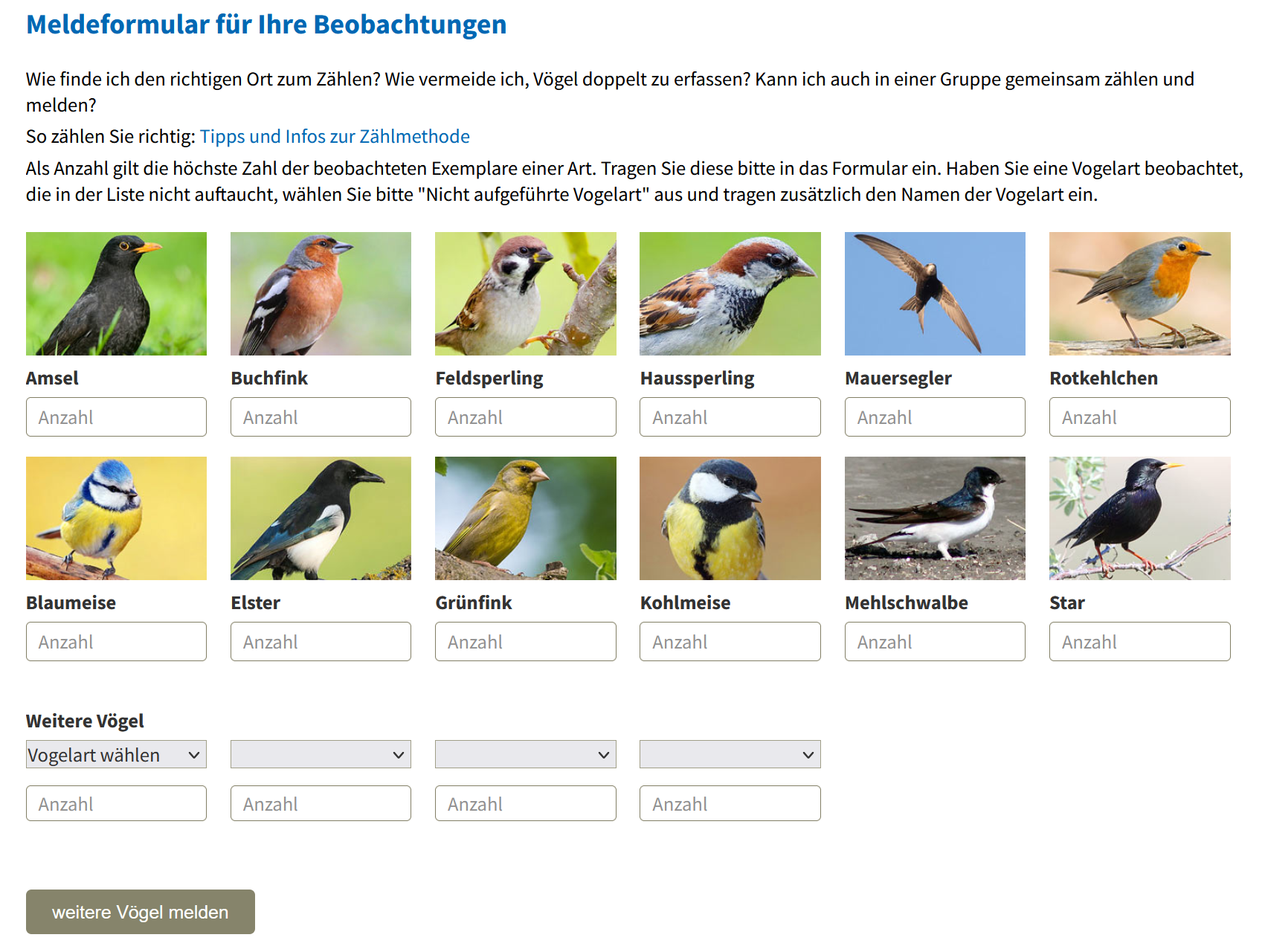 Meldeformular des NABU für die Stunde der Gartenvögel. Es gibt eine Übersicht der typischsten Vogelarten sowie ein detailiierteres Auswahlmenü.