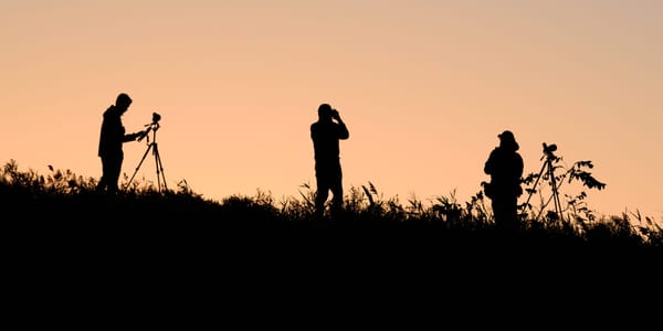 October Big Day 2025 steht vor der Tür