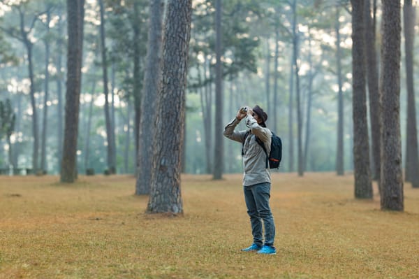Stunde der Gartenvögel 2026