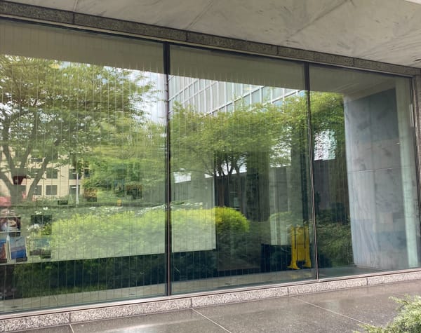 Durch welches Muster können Vögel Fenster erkennen und Kollisionen vermeiden?